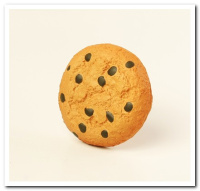 MFR-042 Cookie